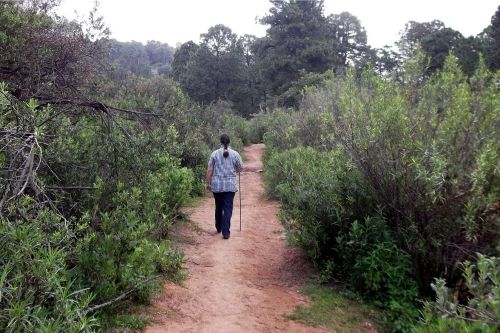 senderismo en tapalpa